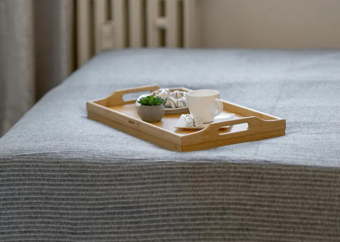 Apartment Comfortable Two-bedroom In By Renters Posen